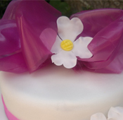 pasteles