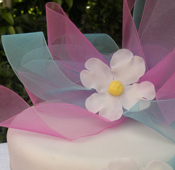 pasteles