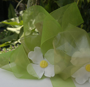 pasteles
